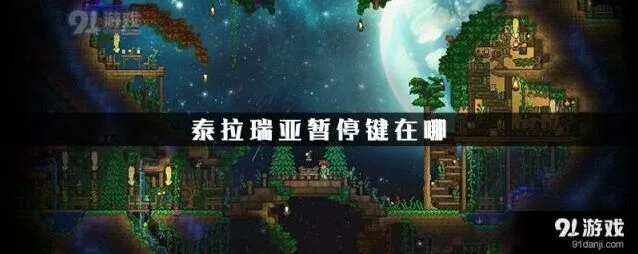 泰拉瑞亚游戏