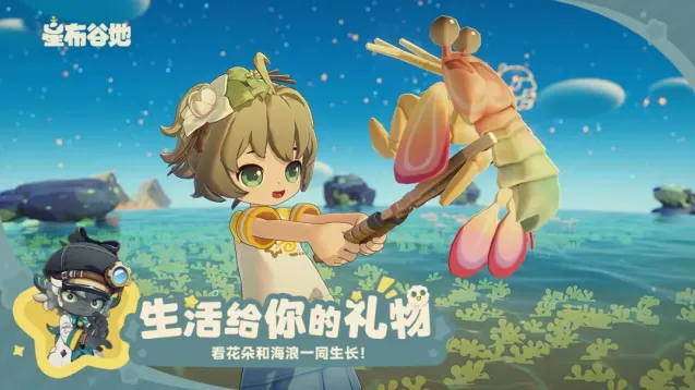 星布谷地星布