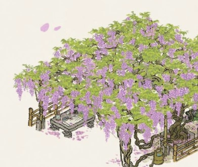 江南百景图紫藤花怎么获得 攻略分享
