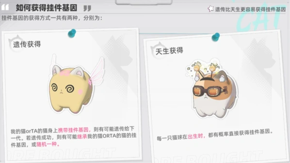 猫之城基因挂件激活方法分享