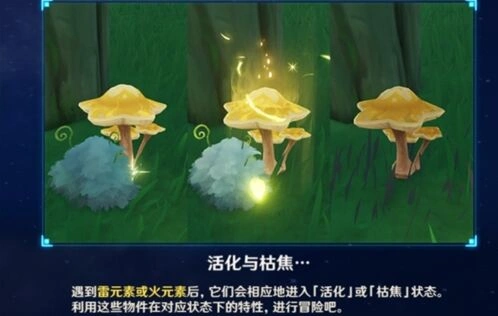 原神：枯萎的星蕈获取教程