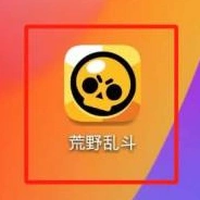 荒野乱斗观战方法详细攻略