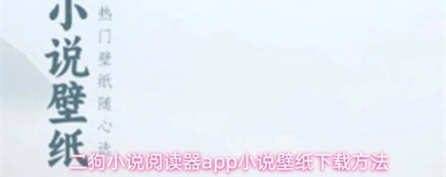 二狗小说阅读器红色