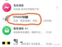 抖音私信功能详解与封号规避
