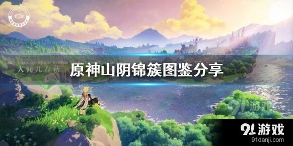 原神中山阴锦簇的用途