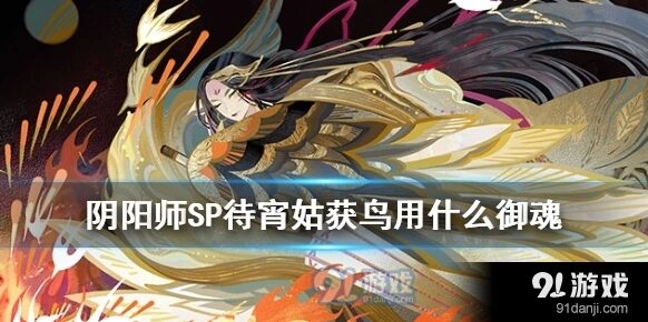 阴阳师SP待宵姑获鸟御魂选择指南