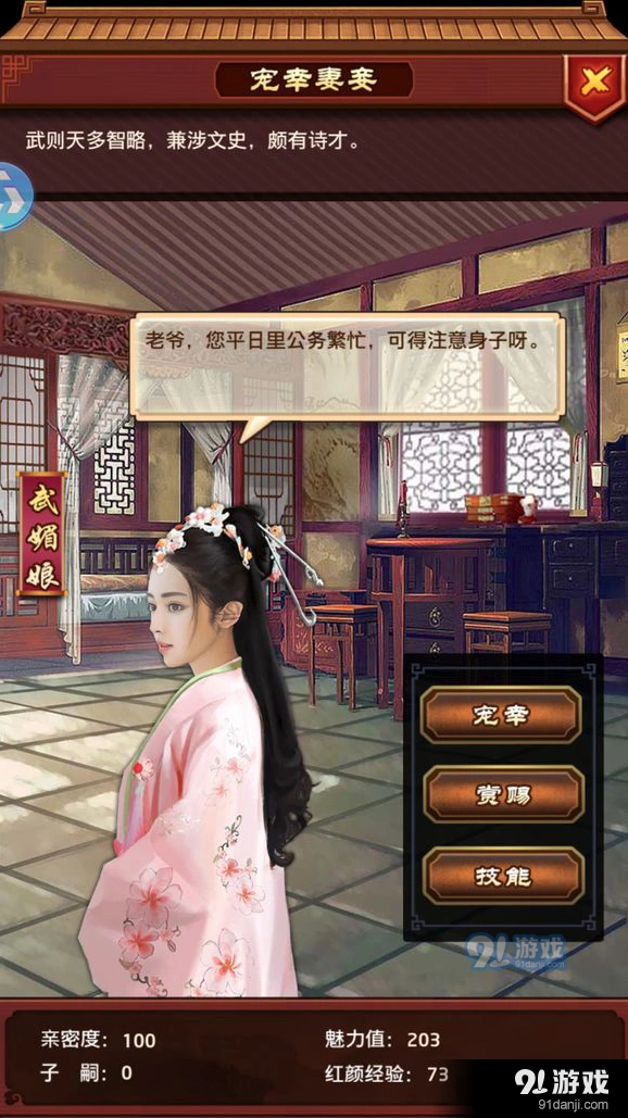 极品芝麻官红颜玩法解析
