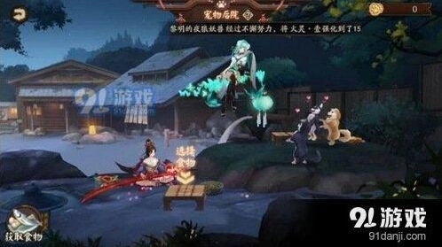 阴阳师宠物粮食获取方法 亲密度机制详解