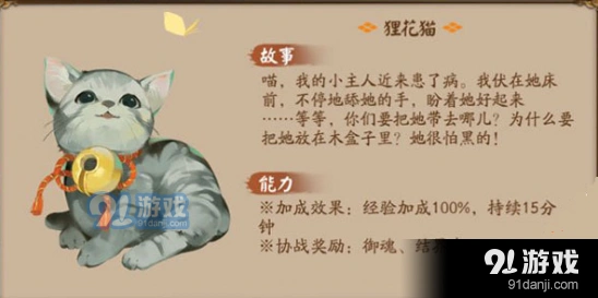阴阳师狸花猫奖励有哪些 协战收益详解