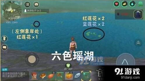 创造与魔法蓝莲花采集指南