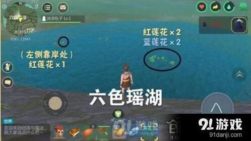 《创造与魔法》蓝莲花采集位置分享