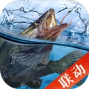 天天钓鱼官方最新版-1.9