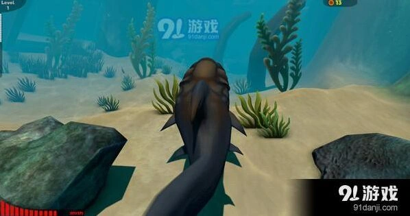海底大猎杀打不开 解决技巧分享