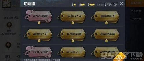 和平精英勋章完整指南
