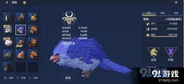 妄想山海翠鹞坐骑评测