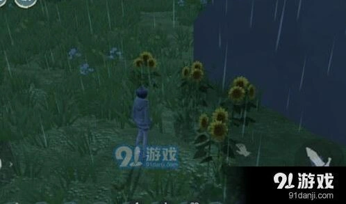 创造与魔法向日葵分布位置完全攻略