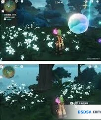 水天丛林解密原神流程步骤