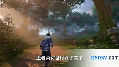 王者荣耀世界菇归属分析教程