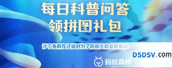 沙丁鱼群在迁徙时为了防御天敌会聚集成