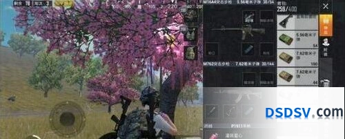 和平精英七夕许愿地点汇总 许愿树位置