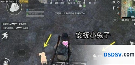 和平精英月兔入手教程