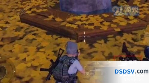和平精英中秋月兔赏花操作攻略