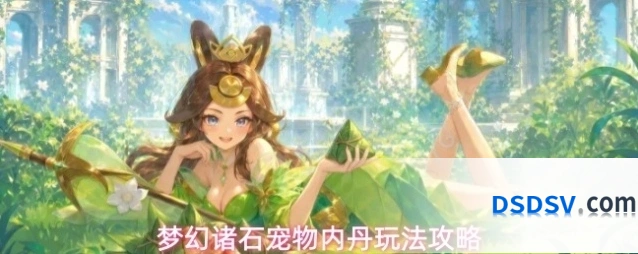 梦幻诸石宠物内丹玩法攻略