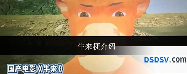 牛来梗介绍