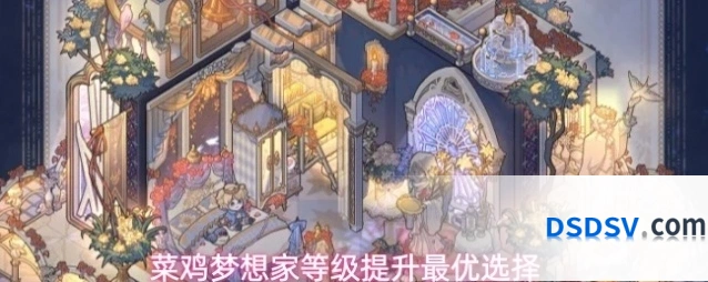菜鸡梦想家等级提升最优选择