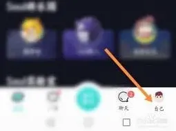 Soul怎么关闭