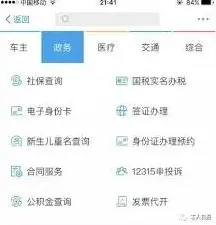 支付宝养老金