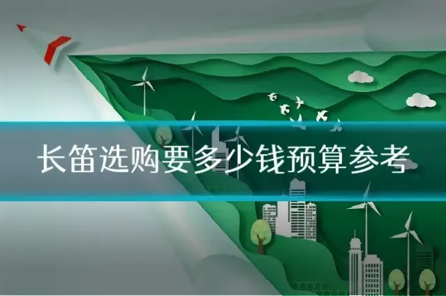 长笛选购要多少钱预算参考