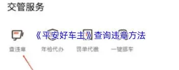 平安好车主驾驶