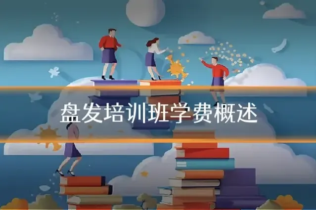 盘发培训班学费概述