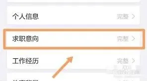 智联招聘状态