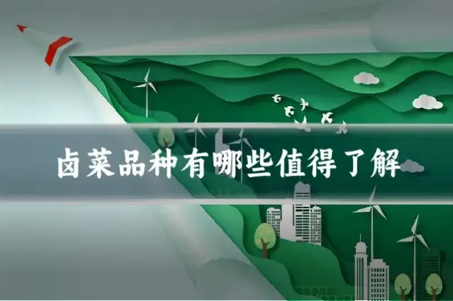 卤菜品种有哪些值得了解