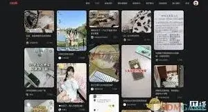 小红书如何登录