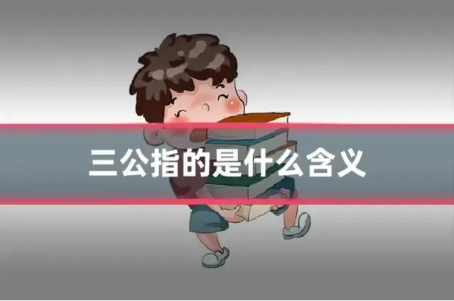 三公指的是什么含义