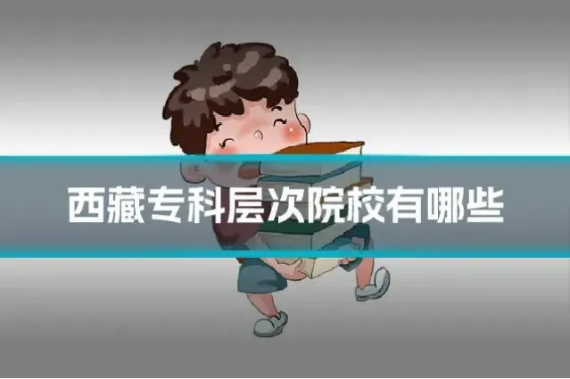 西藏专科层次院校有哪些