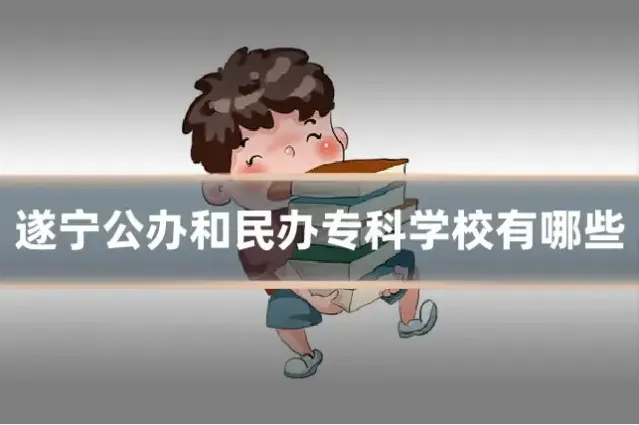 遂宁公办和民办专科学校有哪些