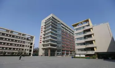 代表