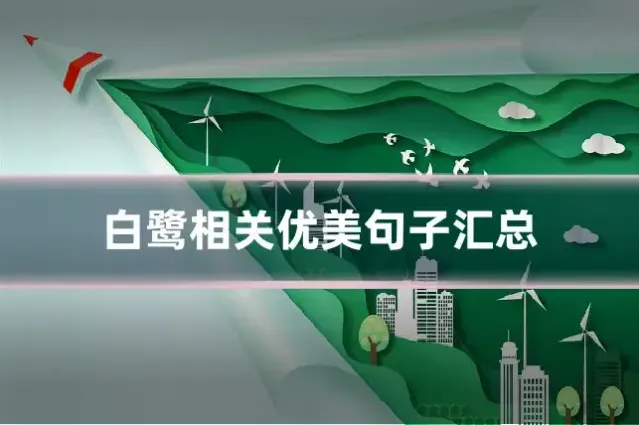 白鹭相关优美句子汇总