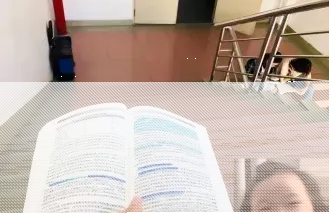 报考