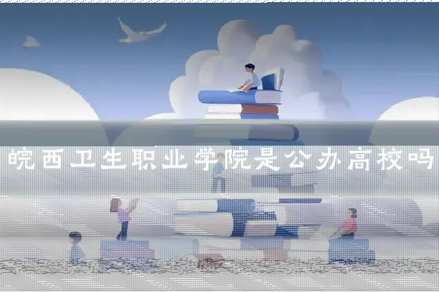 皖西卫生职业学院是公办高校吗