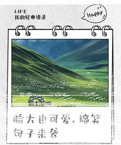 脸大