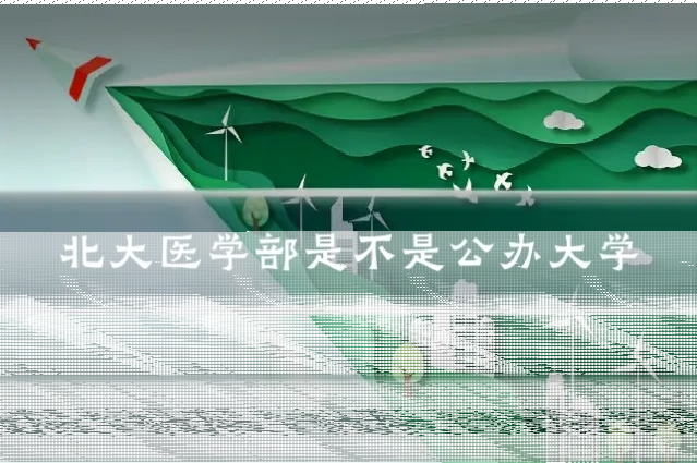 北大医学部是不是公办大学