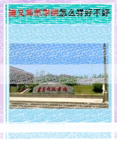 学校