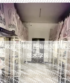 黔南