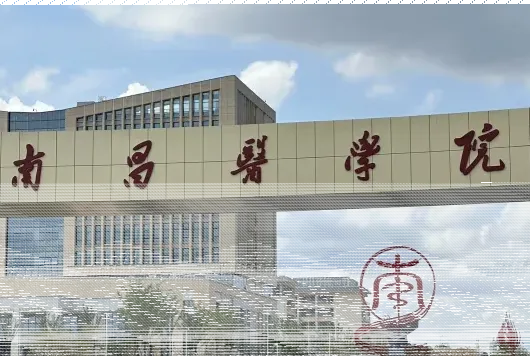 学校
