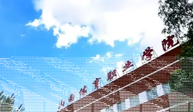 学院